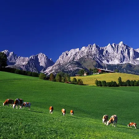 Гостевой дом Gasthof Badhaus