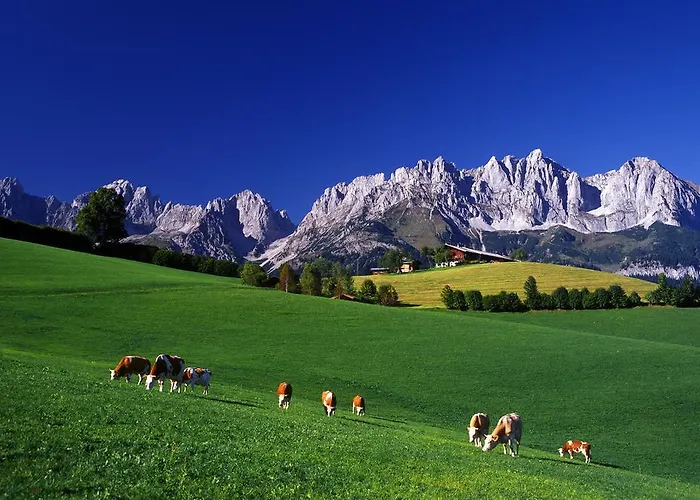 招待所 Gasthof Badhaus